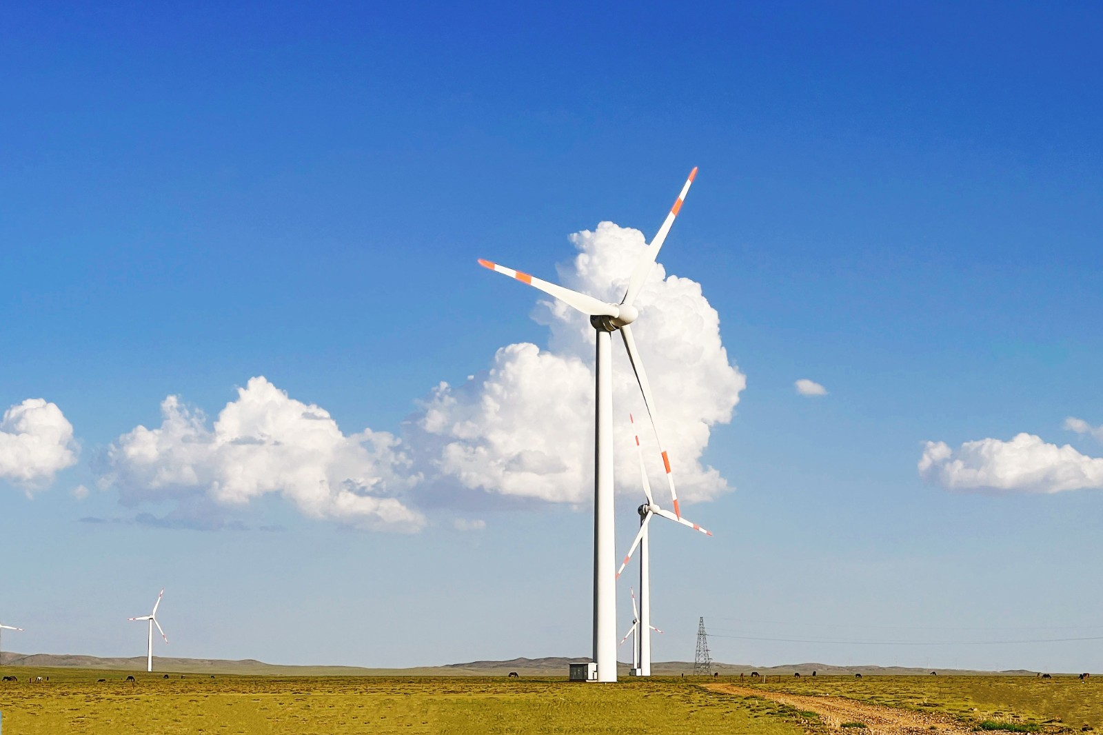 微信图片_20260104084956_233_196